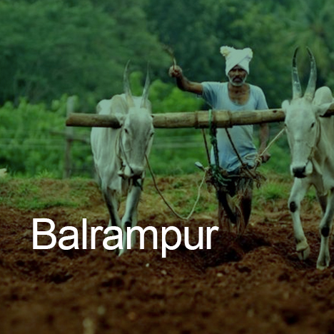 Details of the Balrampur projects